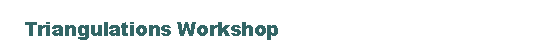 Text Box:     Triangulations Workshop